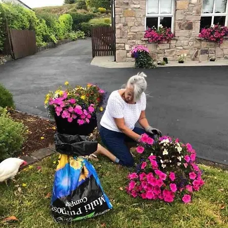 Cosy In A Stone Pensión 4*