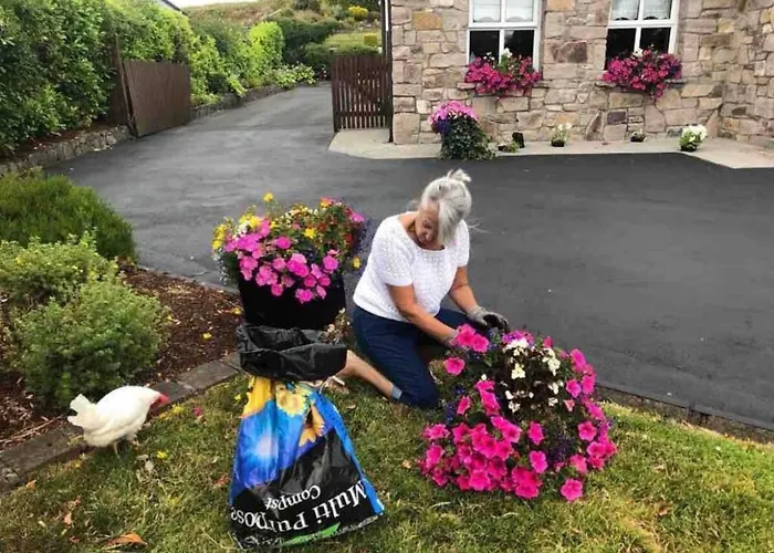 Cosy In A Stone Гостевой дом 4*